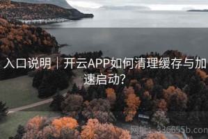 入口说明｜开云APP如何清理缓存与加速启动？
