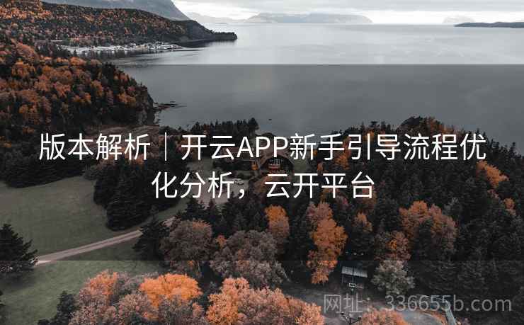版本解析｜开云APP新手引导流程优化分析，云开平台