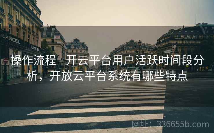 操作流程 - 开云平台用户活跃时间段分析，开放云平台系统有哪些特点