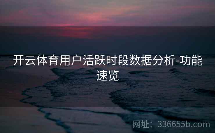 开云体育用户活跃时段数据分析-功能速览