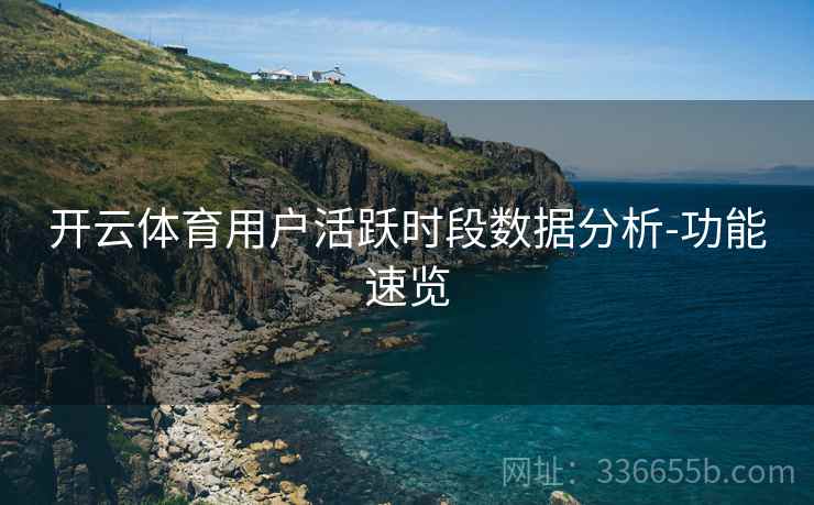 开云体育用户活跃时段数据分析-功能速览