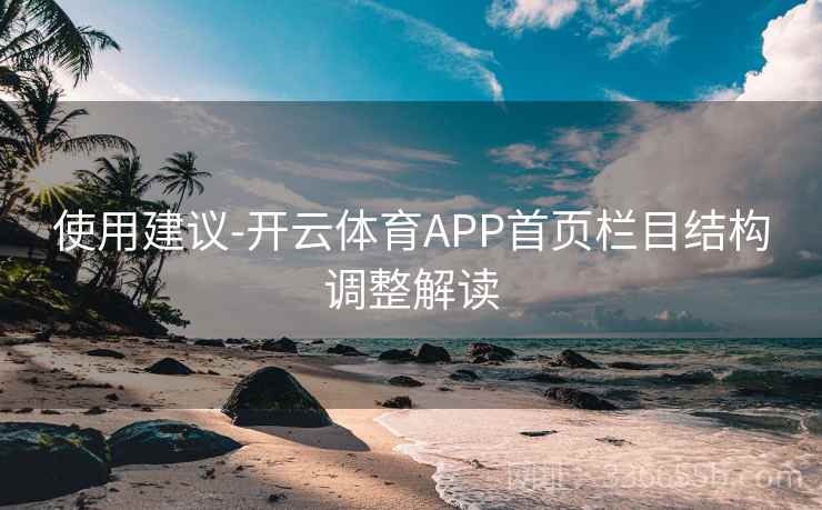 使用建议-开云体育APP首页栏目结构调整解读